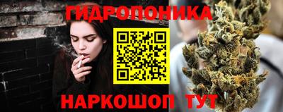 дмт Брянск